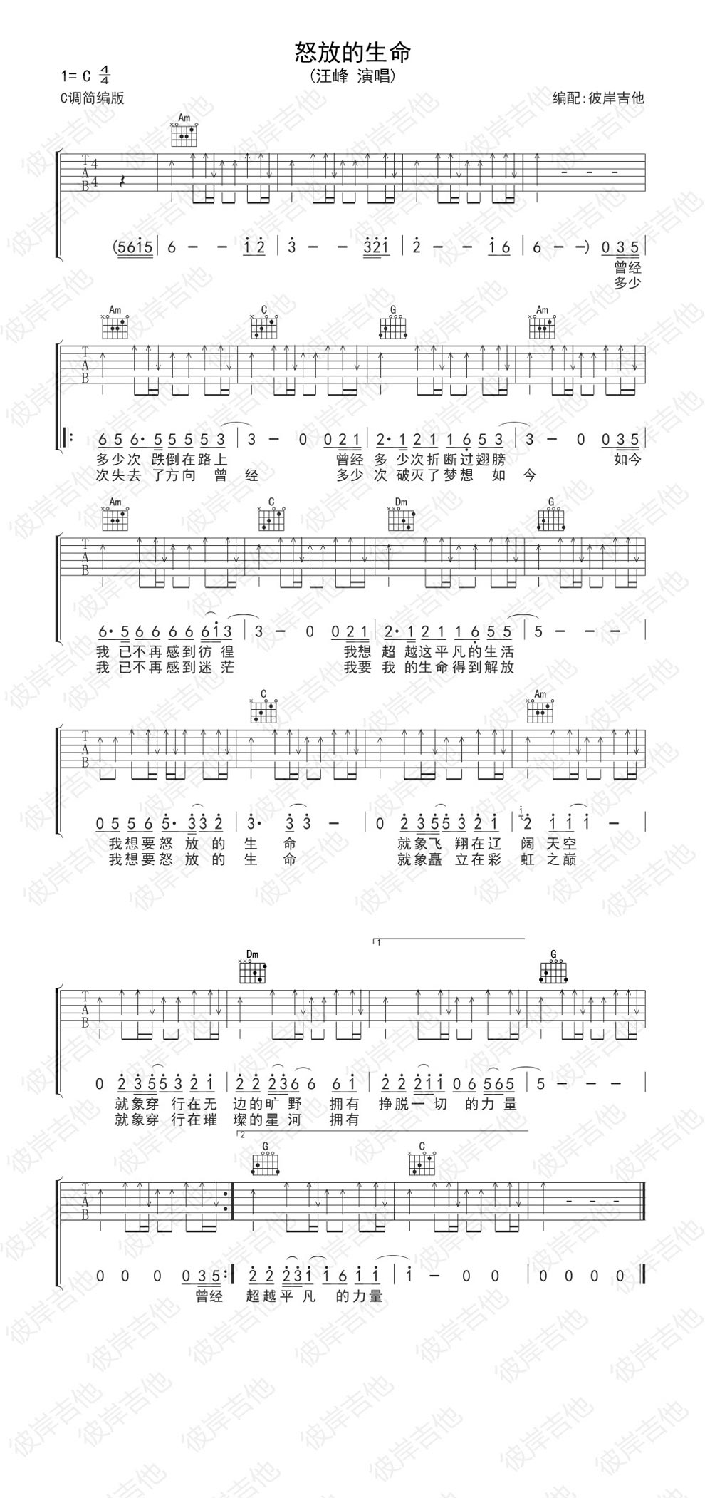 怒放的生命 c调简编版 吉他谱