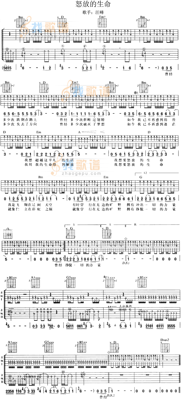 《怒放的生命》吉他谱