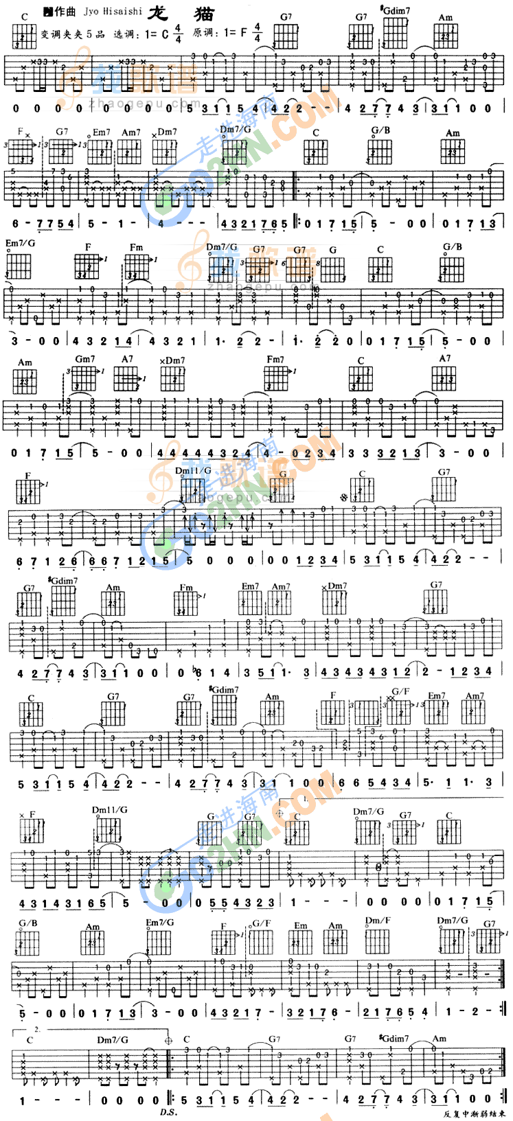 《龙猫》吉他谱